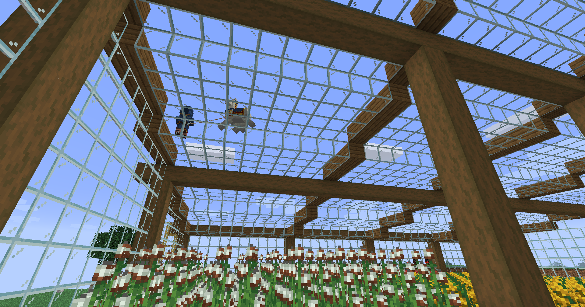 [Image: greenhouse_done3.png]