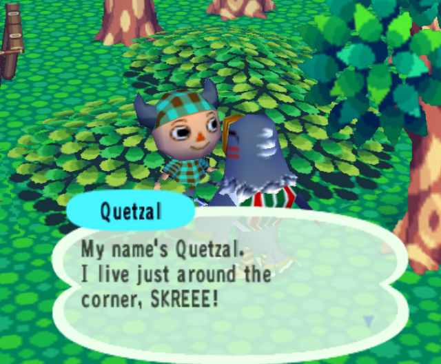 Quetzal the bird greets me and then screams.