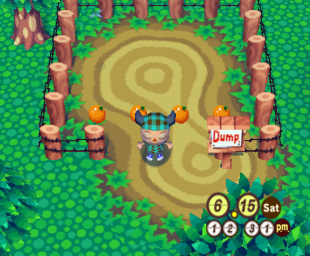 I drop 4 oranges into the nearby town dump.