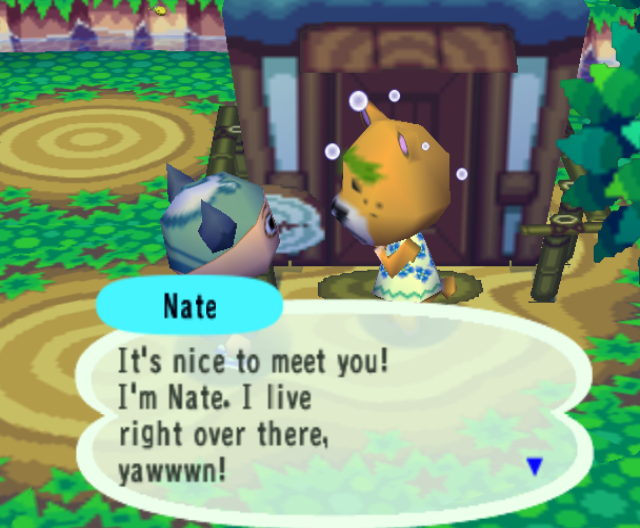 Nate, an orange bear