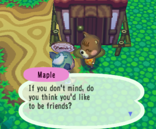 Maple, a brown bear